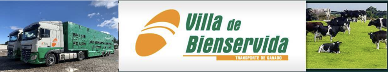 http://www.villadebienservida.com/contenidos//imagen_top_es.png