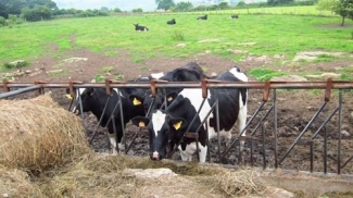 Castilla y LeÃ³n destina 562.188 euros en ayudas para la producciÃ³n agroalimentaria de calidad