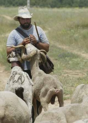 Comarcas de siete provincias unen sus fuerzas para salvar el pastoreo