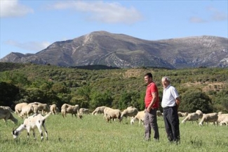 El emprendimiento en el mundo rural, al alcance de la mano siguiendo unos pocos pasos
